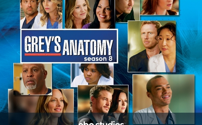 Grey's Anatomy season 8