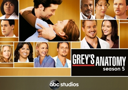 genre Grey's Anatomy season 5